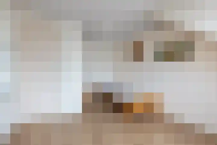 Bûtenom 10 Boornbergum thumbnail 28