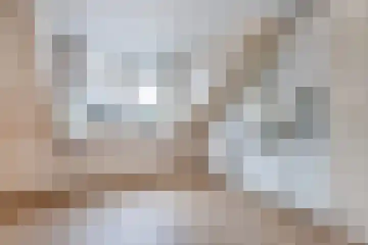 Bûtenom 10 Boornbergum thumbnail 29