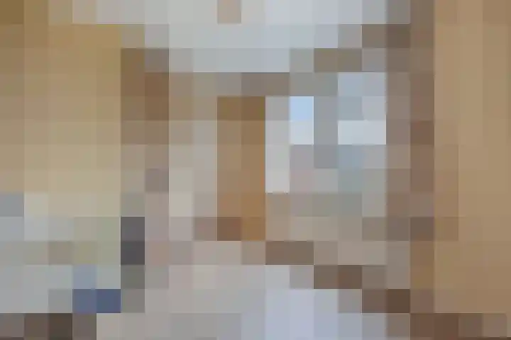 Bûtenom 10 Boornbergum thumbnail 30