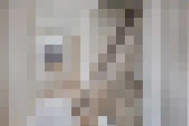 Bûtenom 10 Boornbergum thumbnail 32