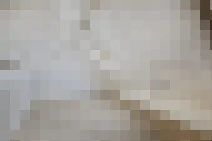 Bûtenom 10 Boornbergum thumbnail 33