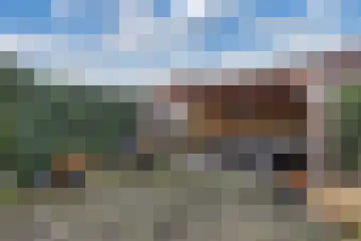 Bûtenom 10 Boornbergum thumbnail 37