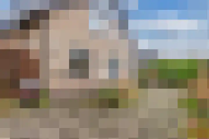 Bûtenom 10 Boornbergum thumbnail 38