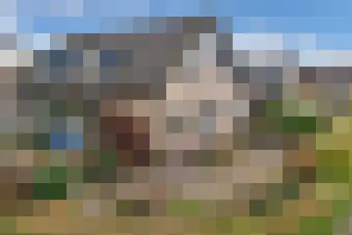 Bûtenom 10 Boornbergum thumbnail 41