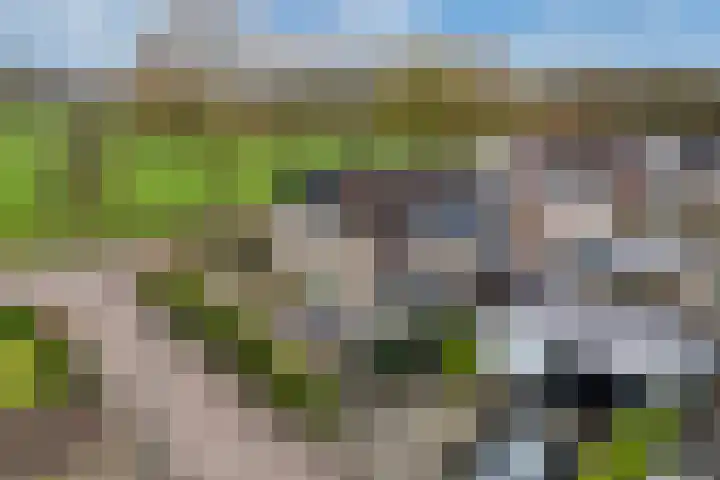 Bûtenom 10 Boornbergum thumbnail 43