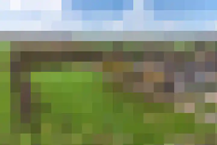 Bûtenom 10 Boornbergum thumbnail 44