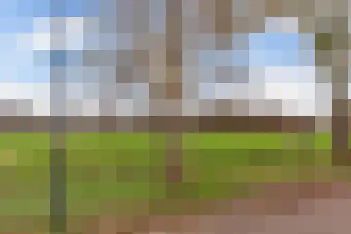 Bûtenom 10 Boornbergum thumbnail 45