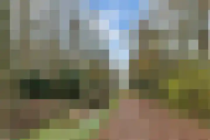 Bûtenom 10 Boornbergum thumbnail 46