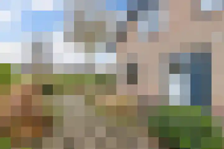 Bûtenom 10 Boornbergum thumbnail 6