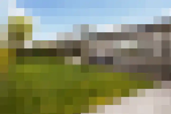 Bûtenstreek 1005 Warten thumbnail 10