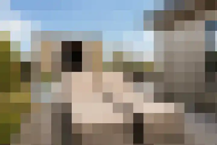 Bûtenstreek 1005 Warten thumbnail 11