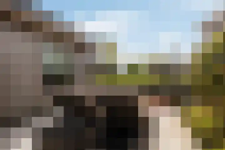 Bûtenstreek 1005 Warten thumbnail 12