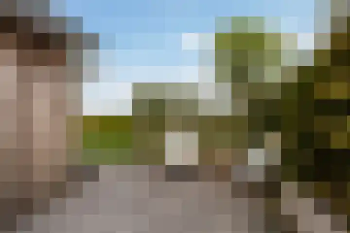 Bûtenstreek 1005 Warten thumbnail 15