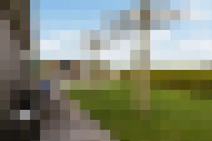 Bûtenstreek 1005 Warten thumbnail 17
