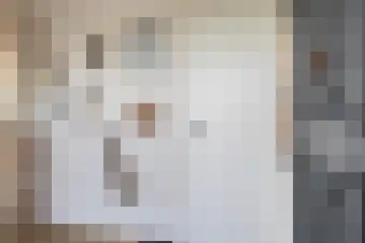 Bûtenstreek 1005 Warten thumbnail 18