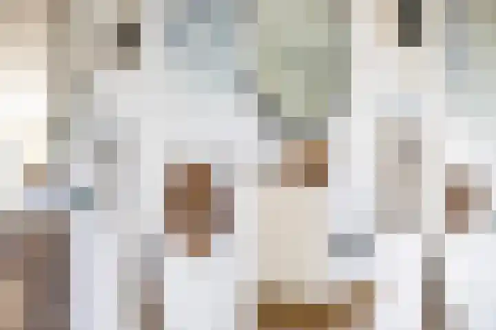 Bûtenstreek 1005 Warten thumbnail 19
