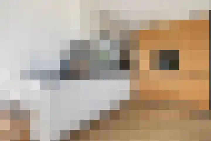 Bûtenstreek 1005 Warten thumbnail 22