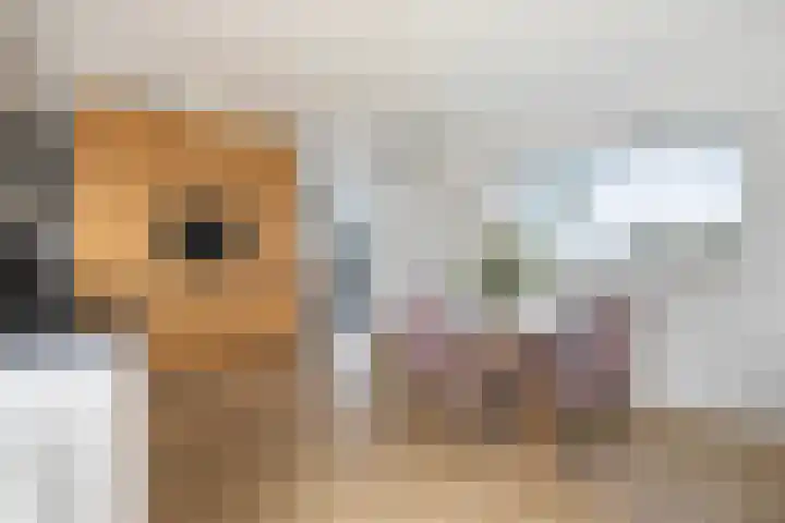 Bûtenstreek 1005 Warten thumbnail 30