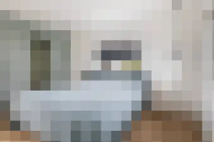 Bûtenstreek 1005 Warten thumbnail 34