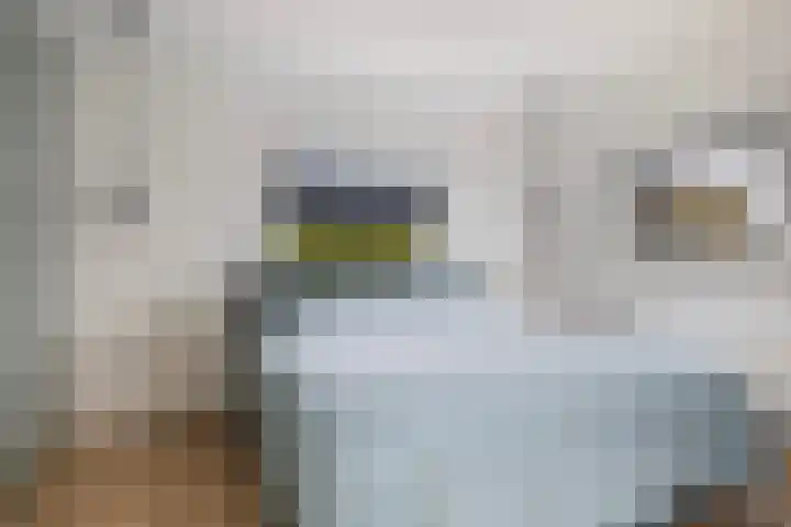 Bûtenstreek 1005 Warten thumbnail 35