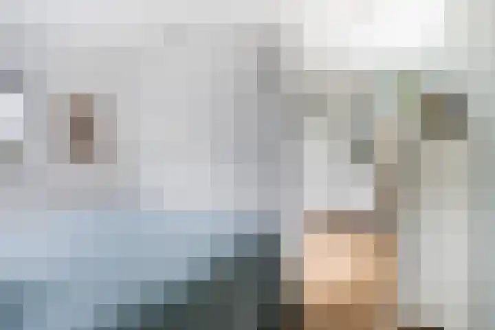 Bûtenstreek 1005 Warten thumbnail 36