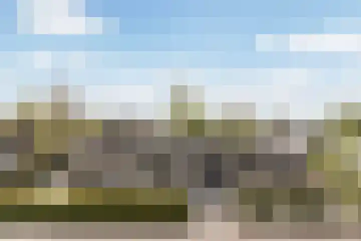Bûtenstreek 1005 Warten thumbnail 4