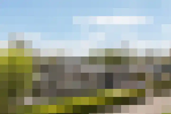 Bûtenstreek 1005 Warten thumbnail 40