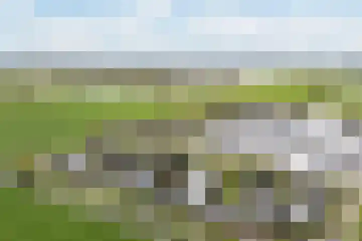 Bûtenstreek 1005 Warten thumbnail 47