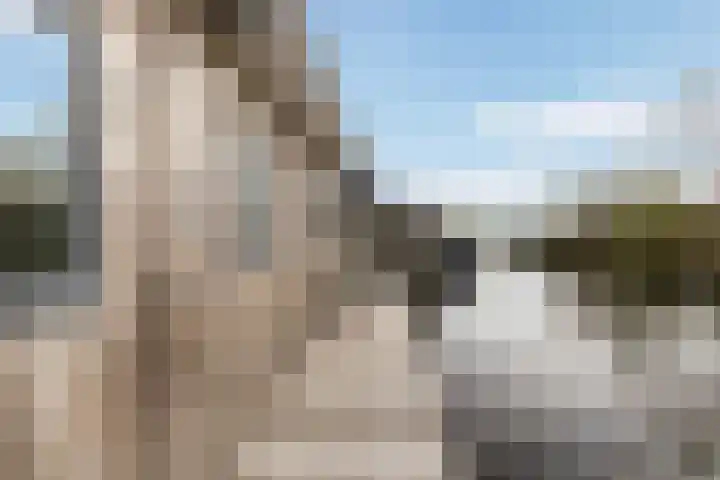 Bûtenstreek 1005 Warten thumbnail 5