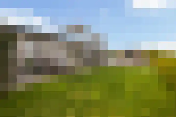 Bûtenstreek 1005 Warten thumbnail 7