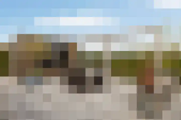 Bûtenstreek 1005 Warten thumbnail 8