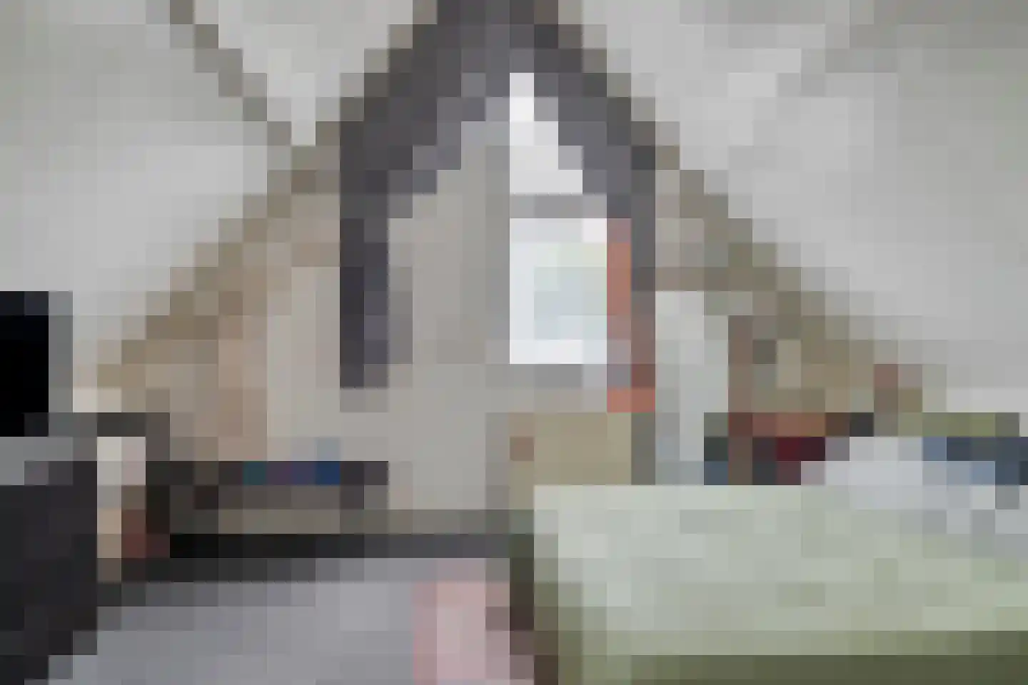 Butenweg 10 Wapserveen thumbnail 20