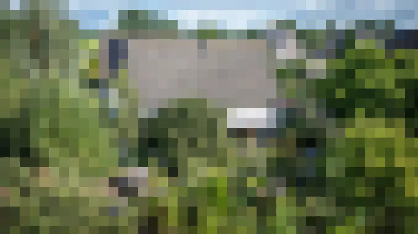 Butenweg 10 Wapserveen thumbnail 23