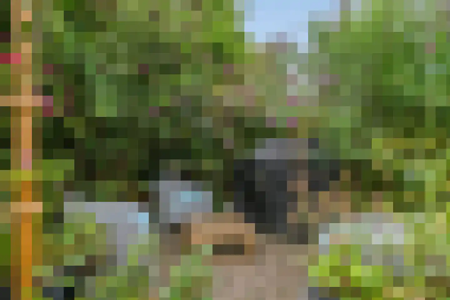 Butenweg 10 Wapserveen thumbnail 25