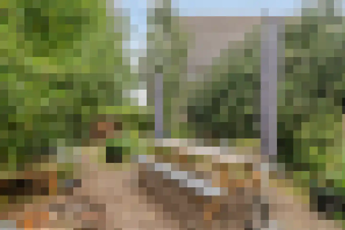 Butenweg 10 Wapserveen thumbnail 29