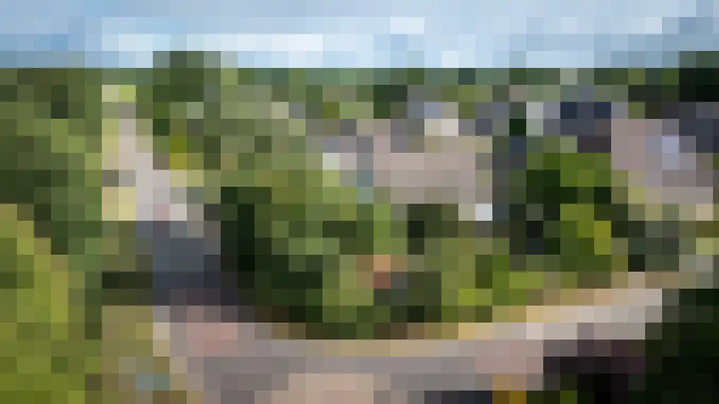 Butenweg 10 Wapserveen thumbnail 33