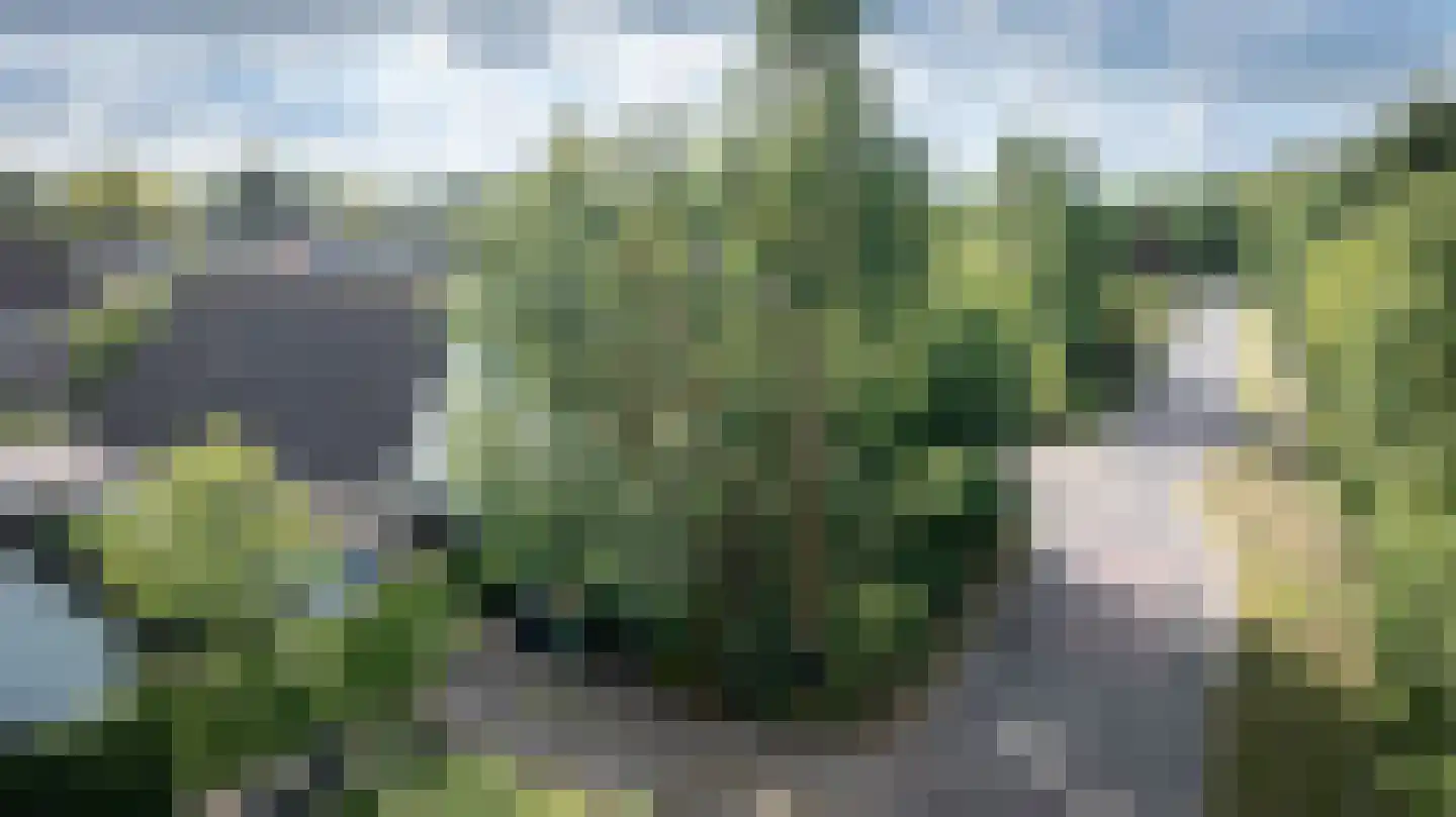 Butenweg 10 Wapserveen thumbnail 34