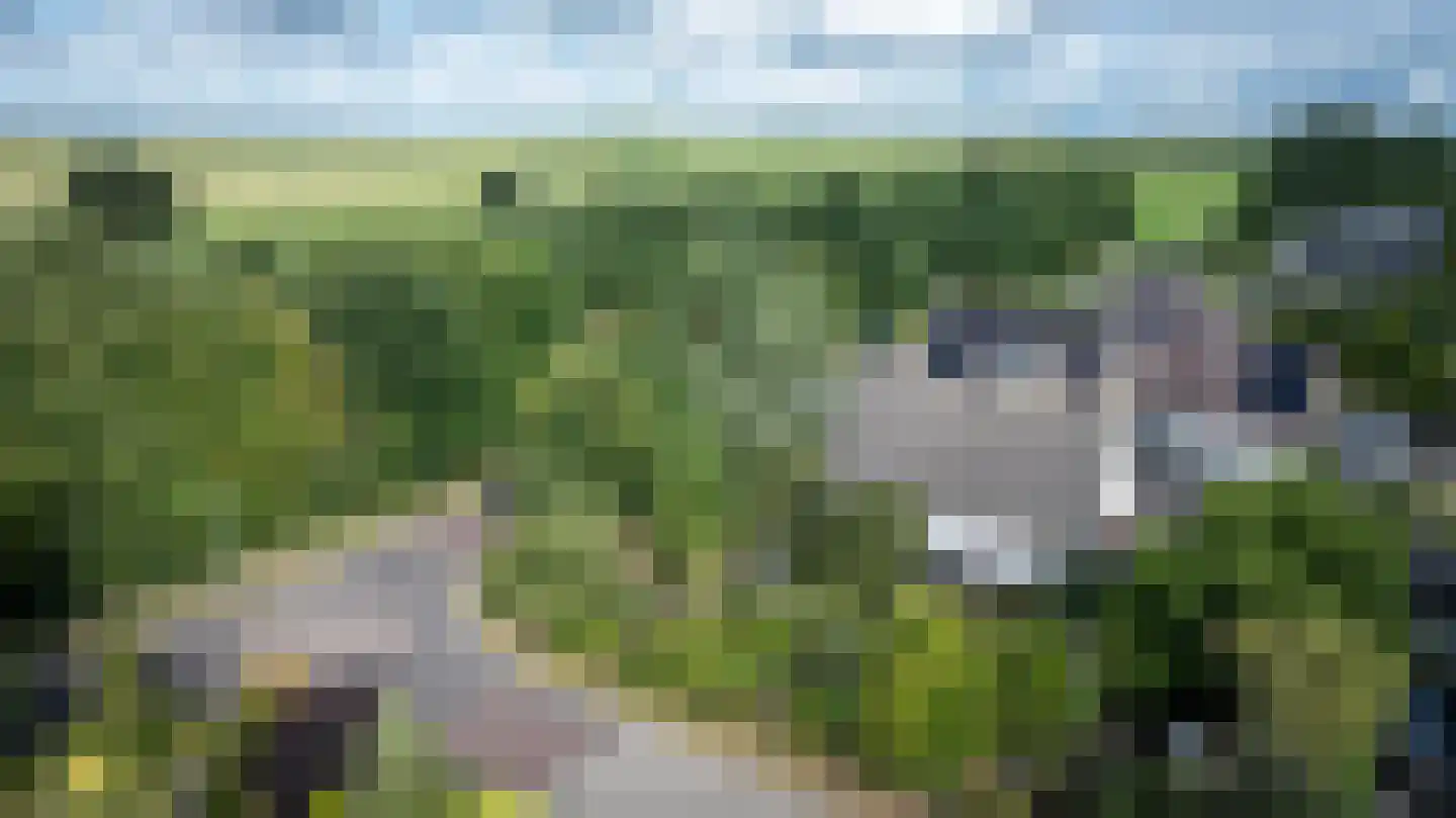 Butenweg 10 Wapserveen thumbnail 38