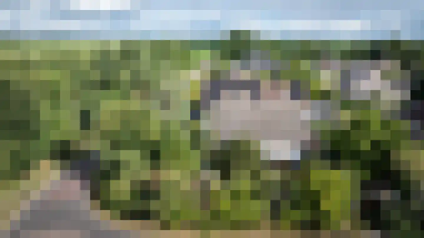 Butenweg 10 Wapserveen thumbnail 39