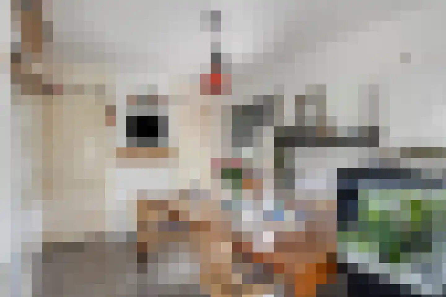 Butenweg 10 Wapserveen thumbnail 4