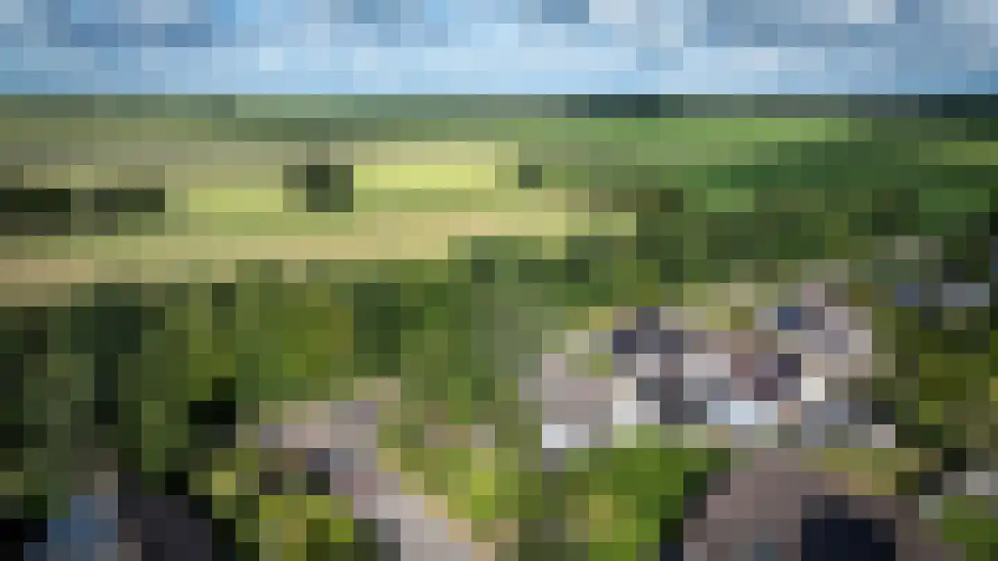 Butenweg 10 Wapserveen thumbnail 42