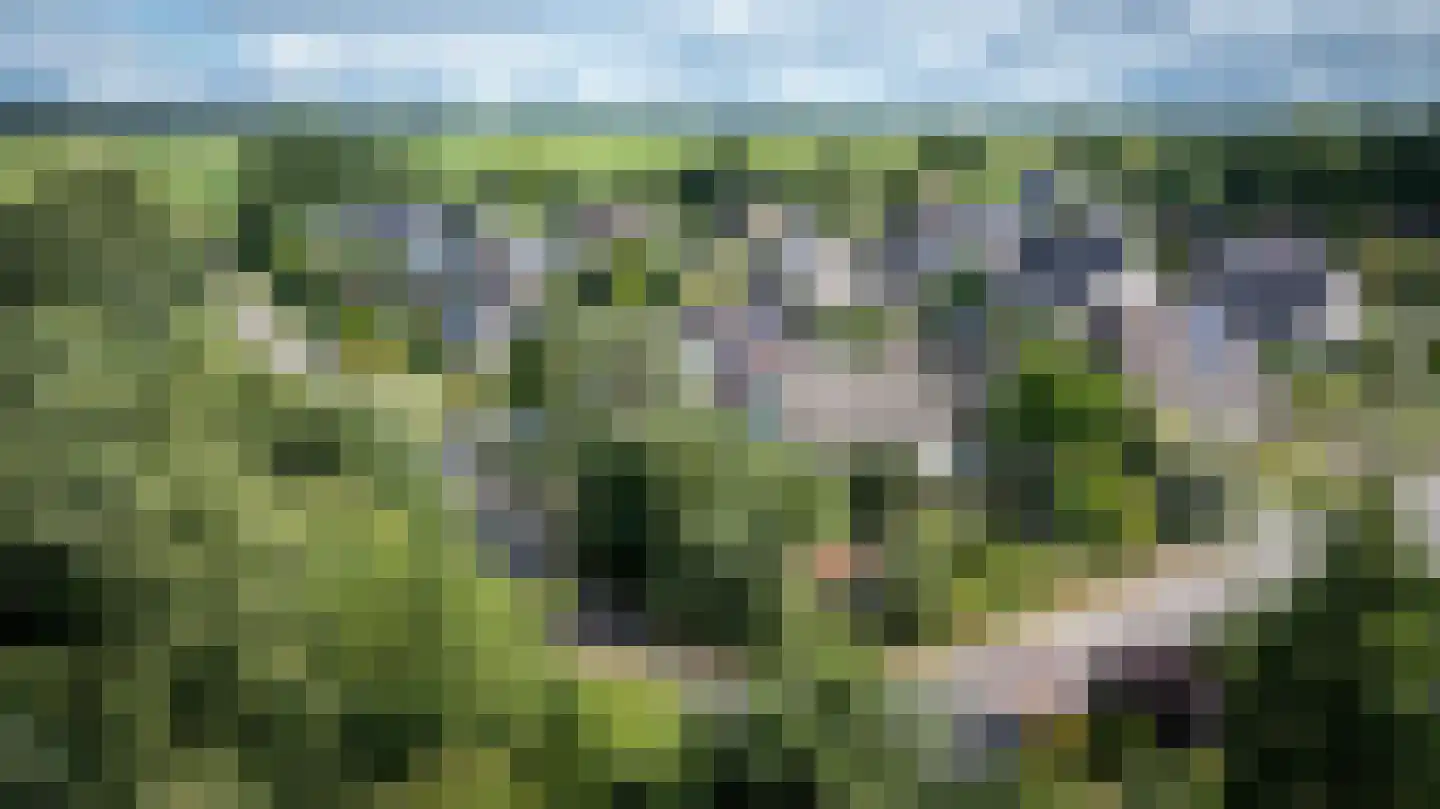 Butenweg 10 Wapserveen thumbnail 44