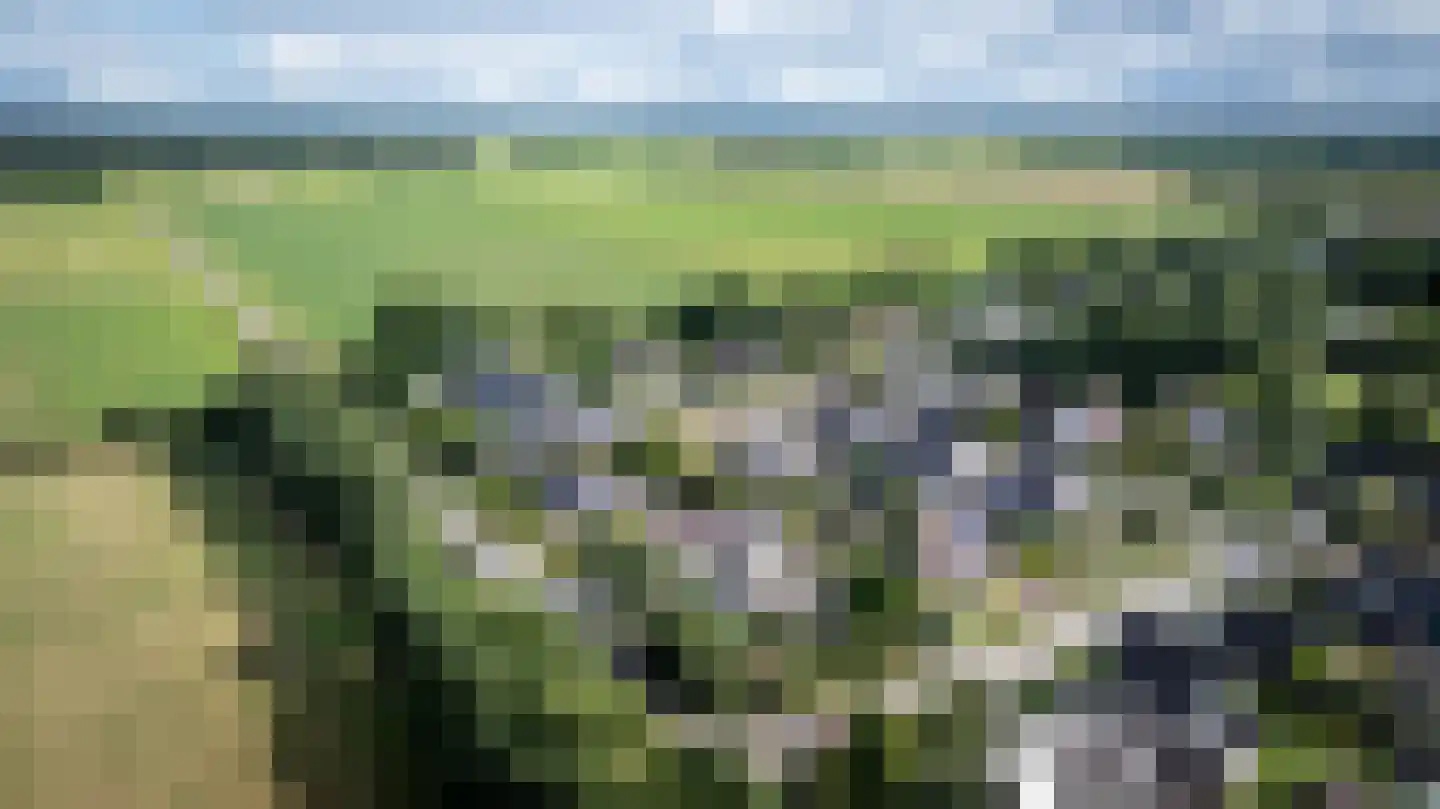 Butenweg 10 Wapserveen thumbnail 45