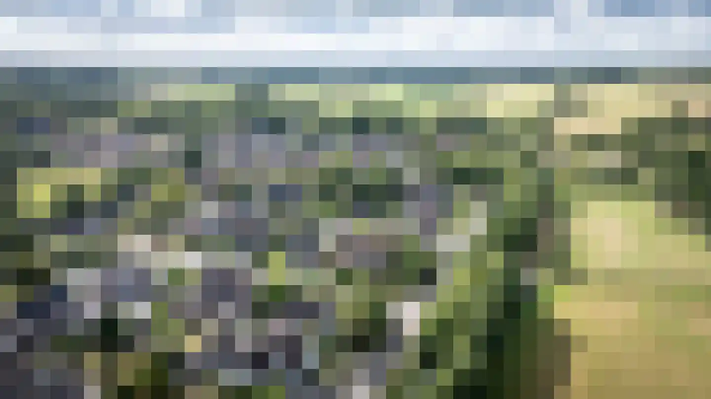 Butenweg 10 Wapserveen thumbnail 47