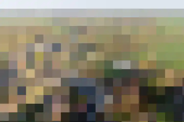 Bûtenwei 10 Moarre thumbnail 10