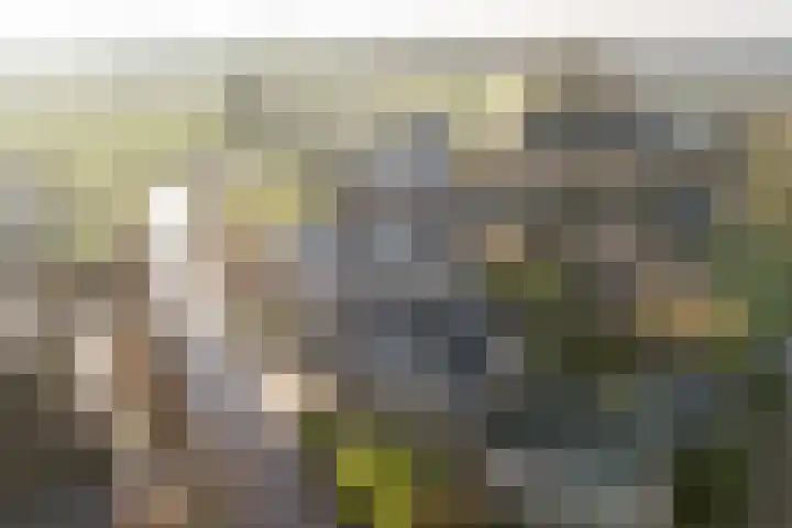 Bûtenwei 10 Moarre thumbnail 11