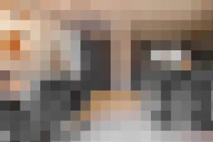 Bûtenwei 10 Moarre thumbnail 22