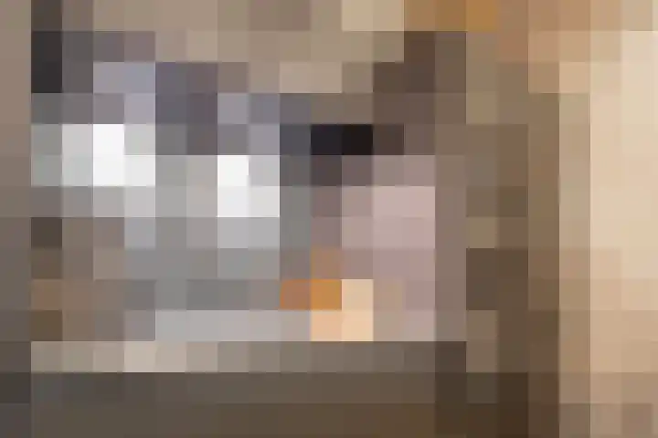 Bûtenwei 10 Moarre thumbnail 24
