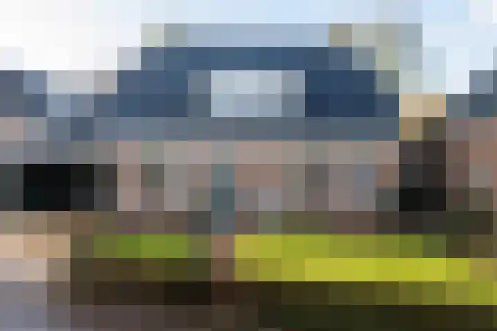 Bûtenwei 10 Moarre thumbnail 5