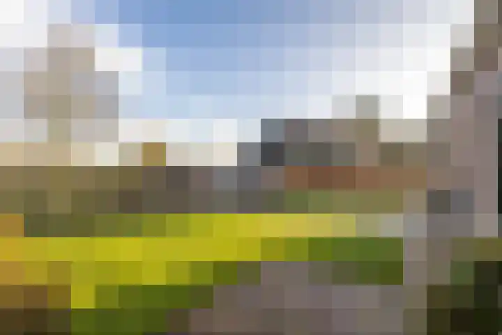 Bûtenwei 10 Moarre thumbnail 6